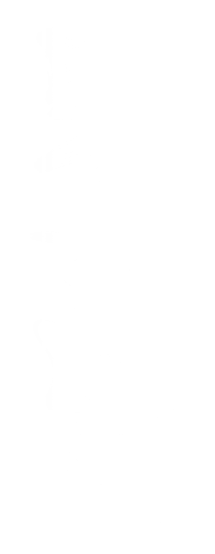 bg17